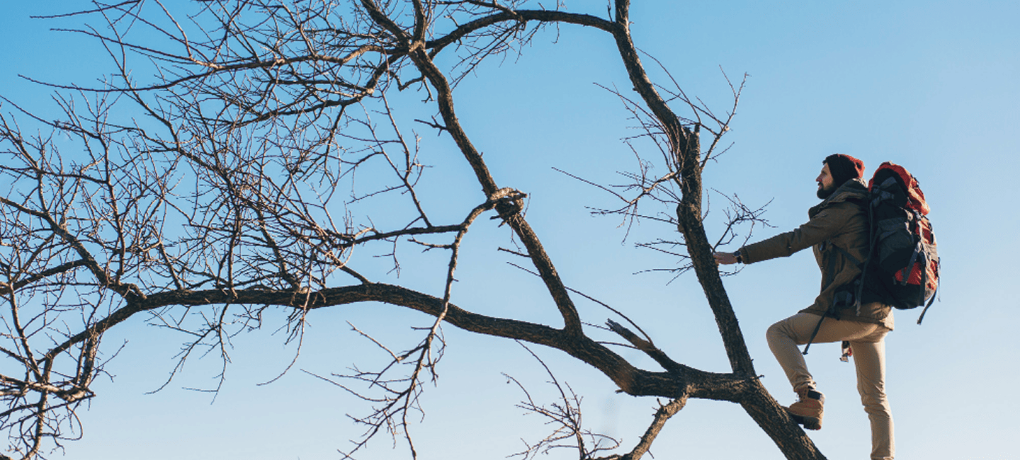 why you need to hire tree surgeons in warrington