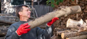top signs you need emergency tree felling services fast