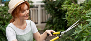 when can you cut hedges in the uk seasonal guide