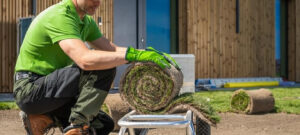 how professional stump grinding improves garden appearance