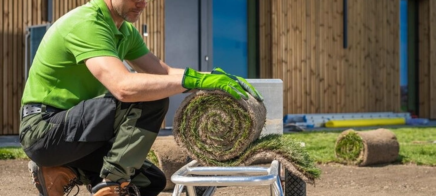 how professional stump grinding improves garden appearance