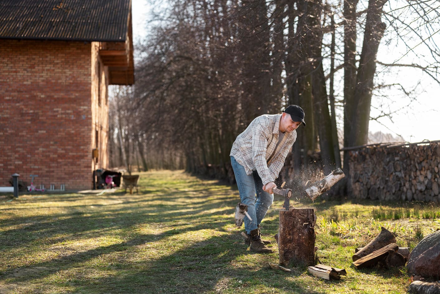 Stump Grinding vs Stump Removal Which Option Is Better for Your Garden img