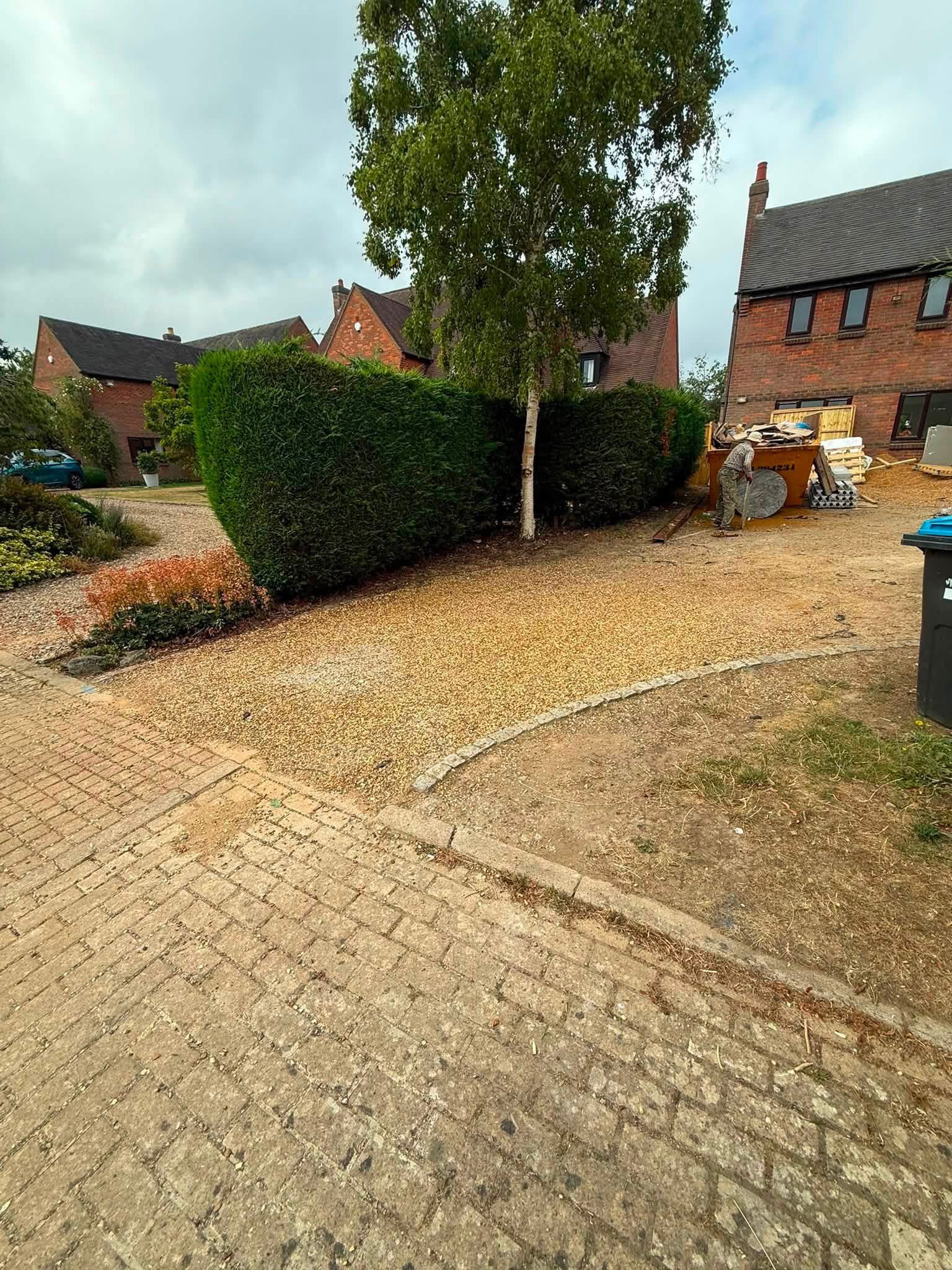 hedge removal before img hedge removal before img