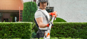 hedge maintenance service