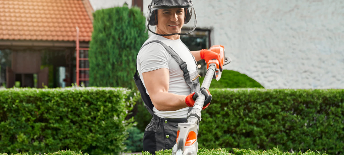 hedge maintenance service