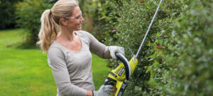 large hedge trimming service